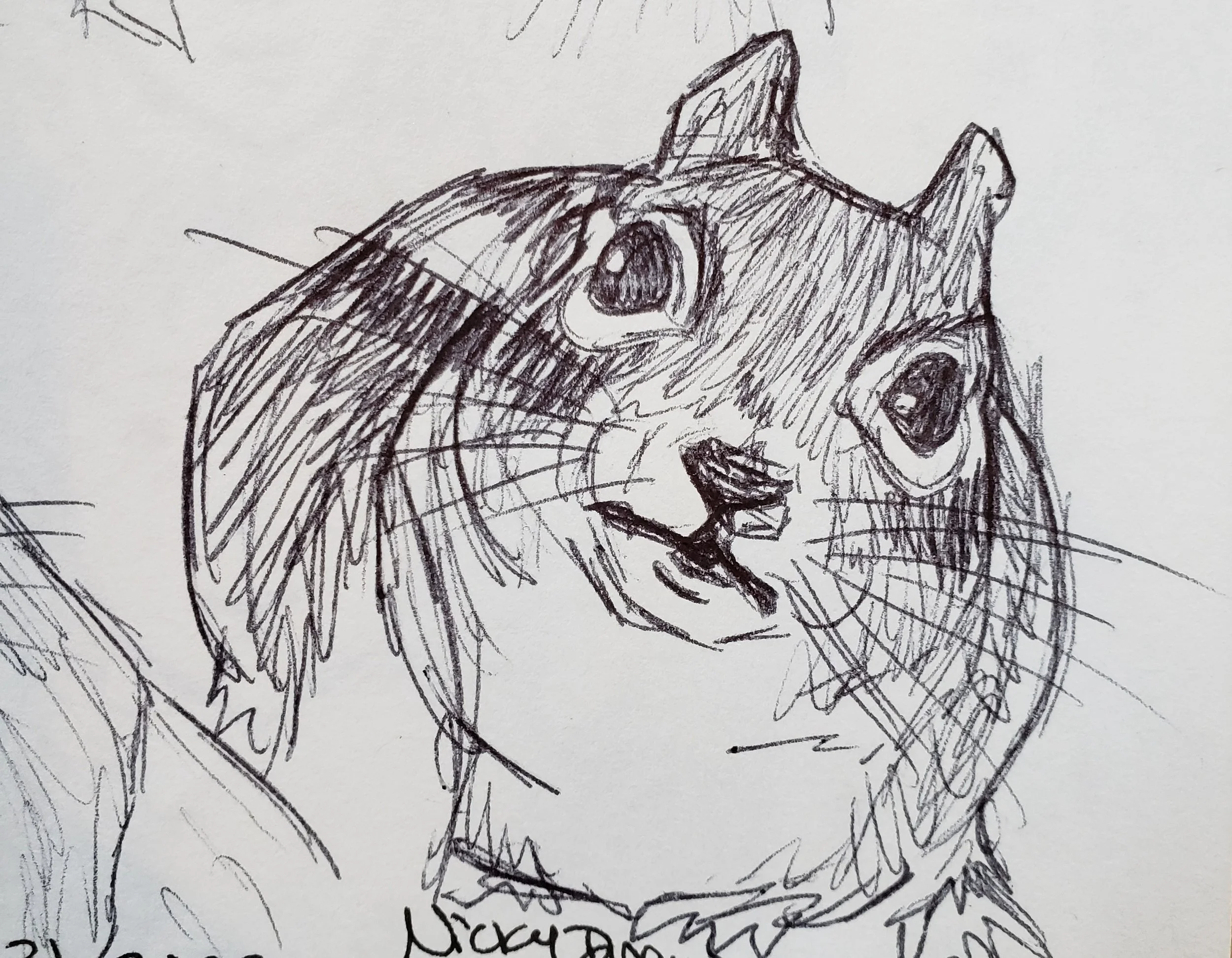 365 Days of Sketchbook: Week 35 — Nicky Drew